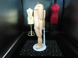 seeley body a3